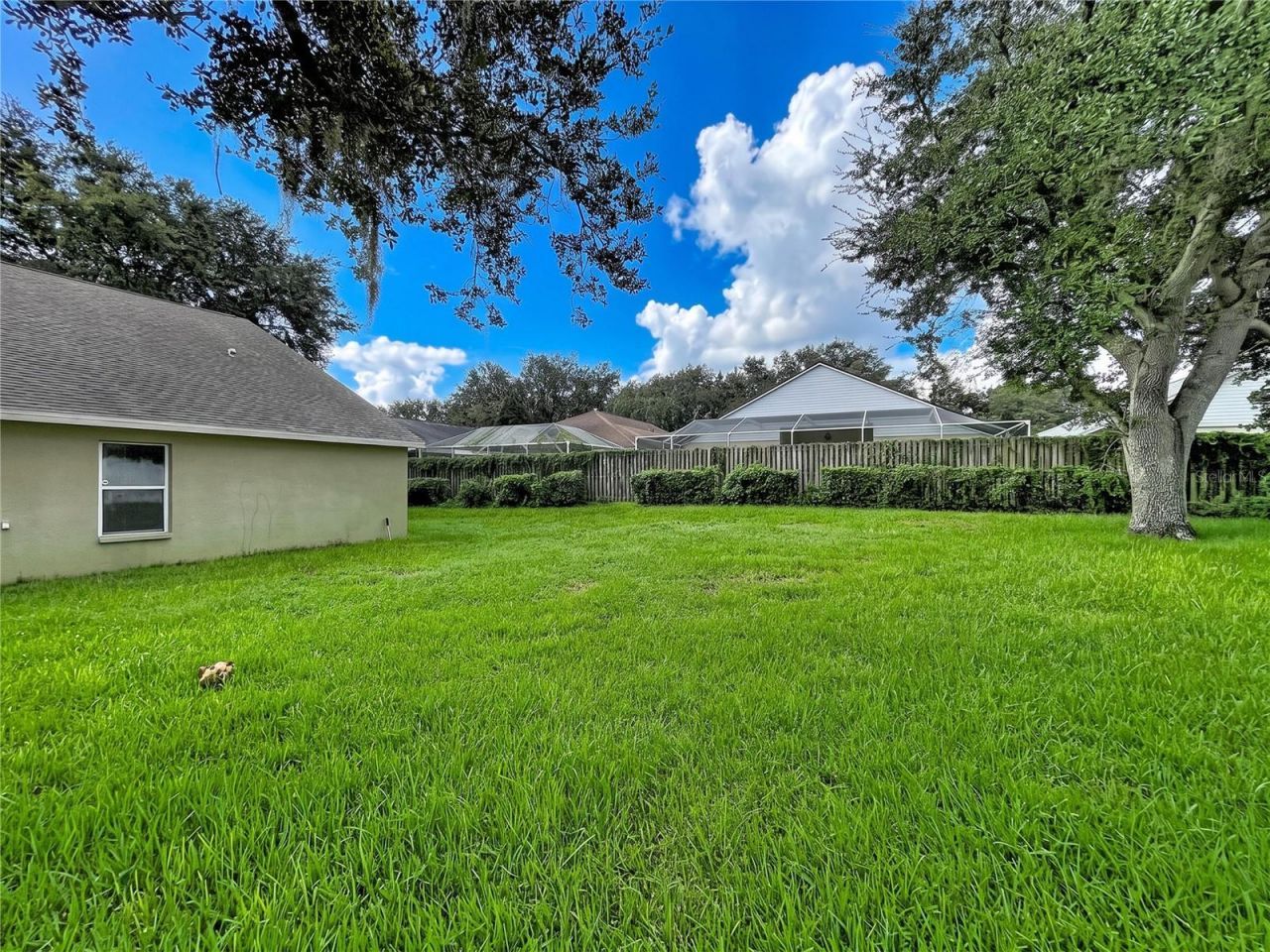 1124 Split Silk Street , Valrico, FL 33594 Photo