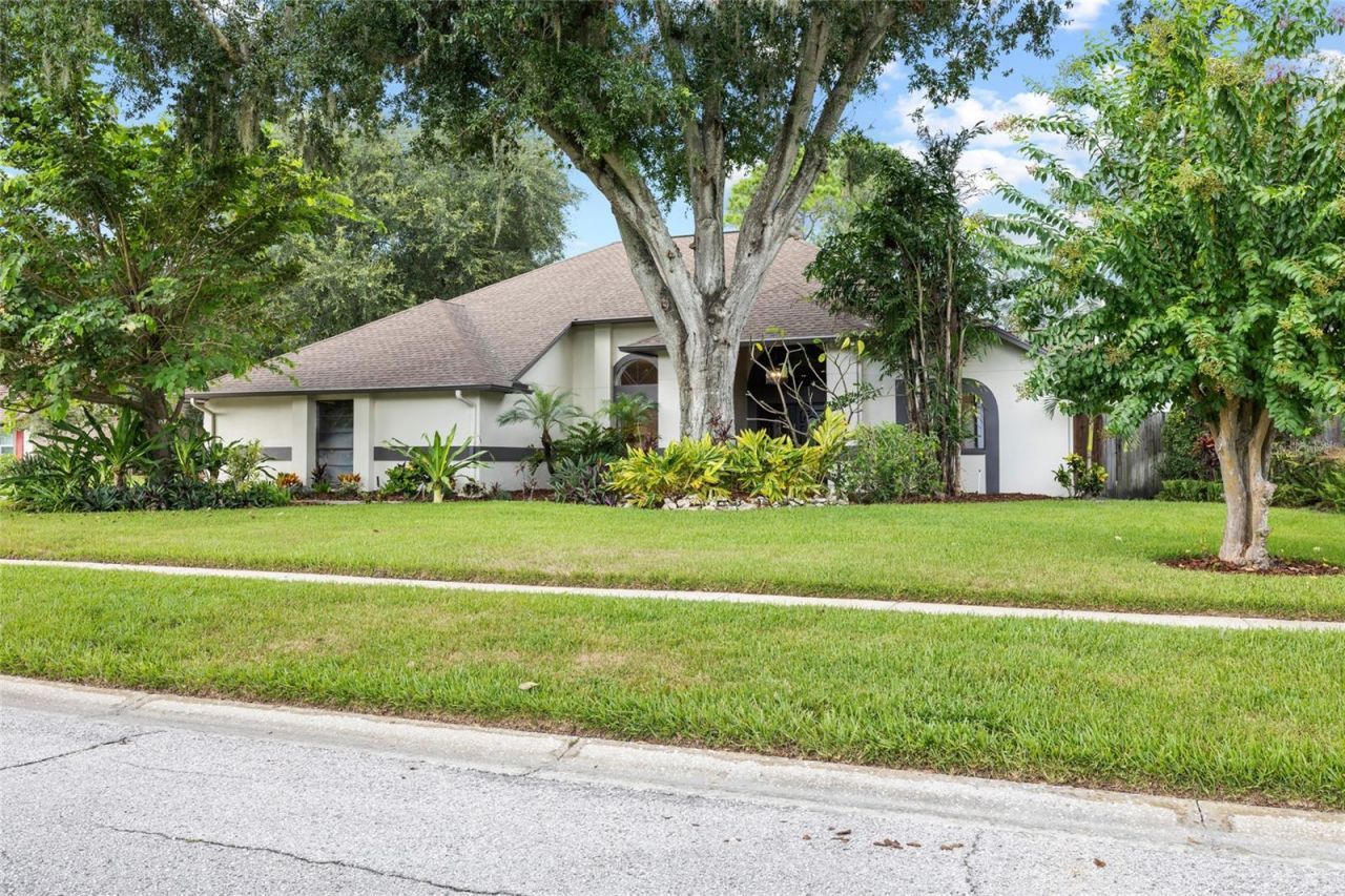 18243 Clear Lake Drive, Lutz, FL 33548 Photo