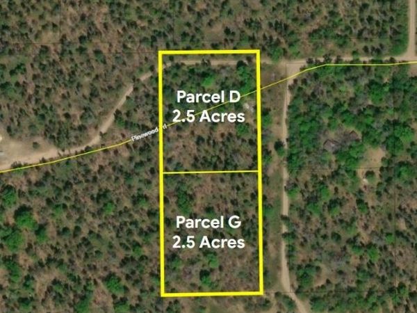 5 Acres E Pinewood Trail, Roscommon, MI 48653