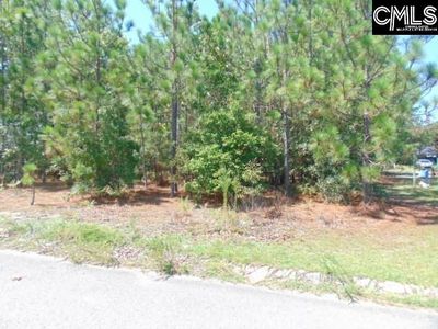 113 Arrowpoint Drive, Gaston, SC 29053