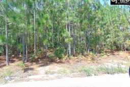 113 Arrowpoint Drive photo 4