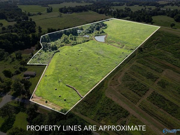27.5 ACRES Cherokee Drive, Horton, AL 35980