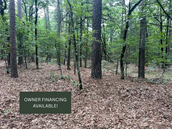 001 Johns Valley Road , Moyers, OK 74557