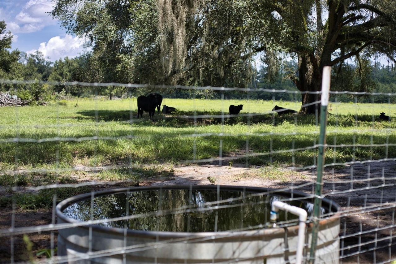 21595 160th Street, Live Oak, FL 32060 Photo