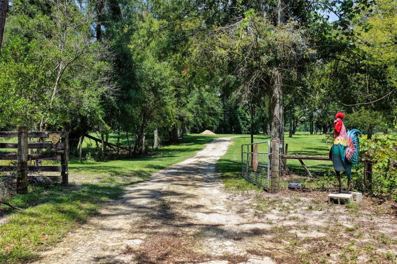 21595 160th Street, Live Oak, FL 32060 Photo