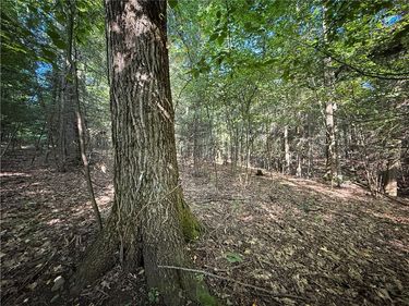 Wright Road, Candor, NY 13743