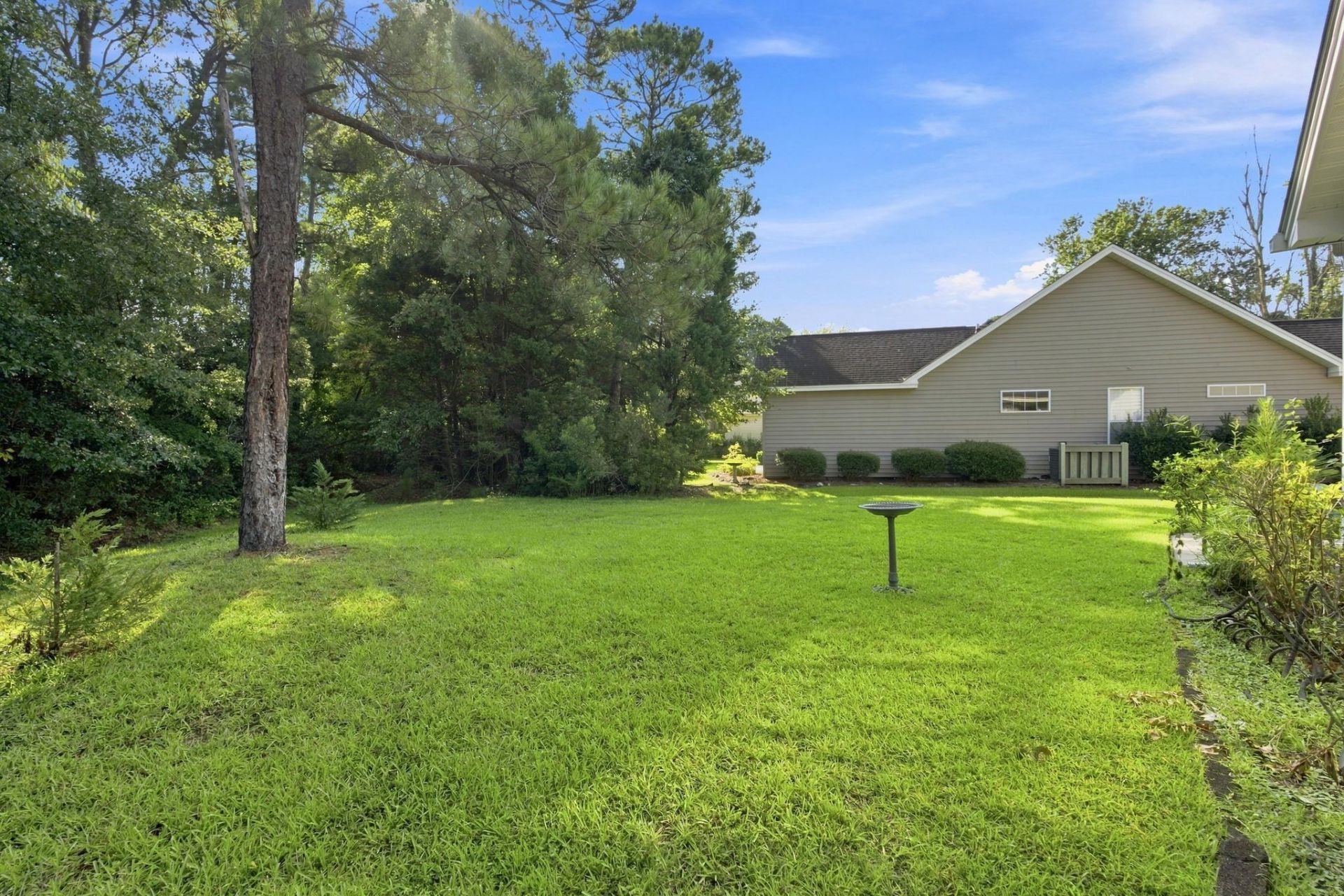 1207 Loblolly Ln. Photo 40