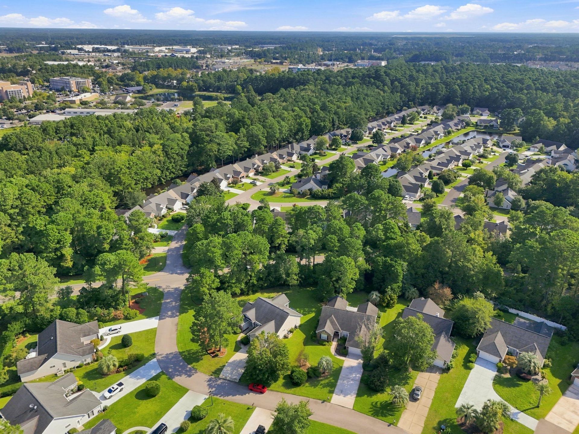 1207 Loblolly Ln. Photo 49