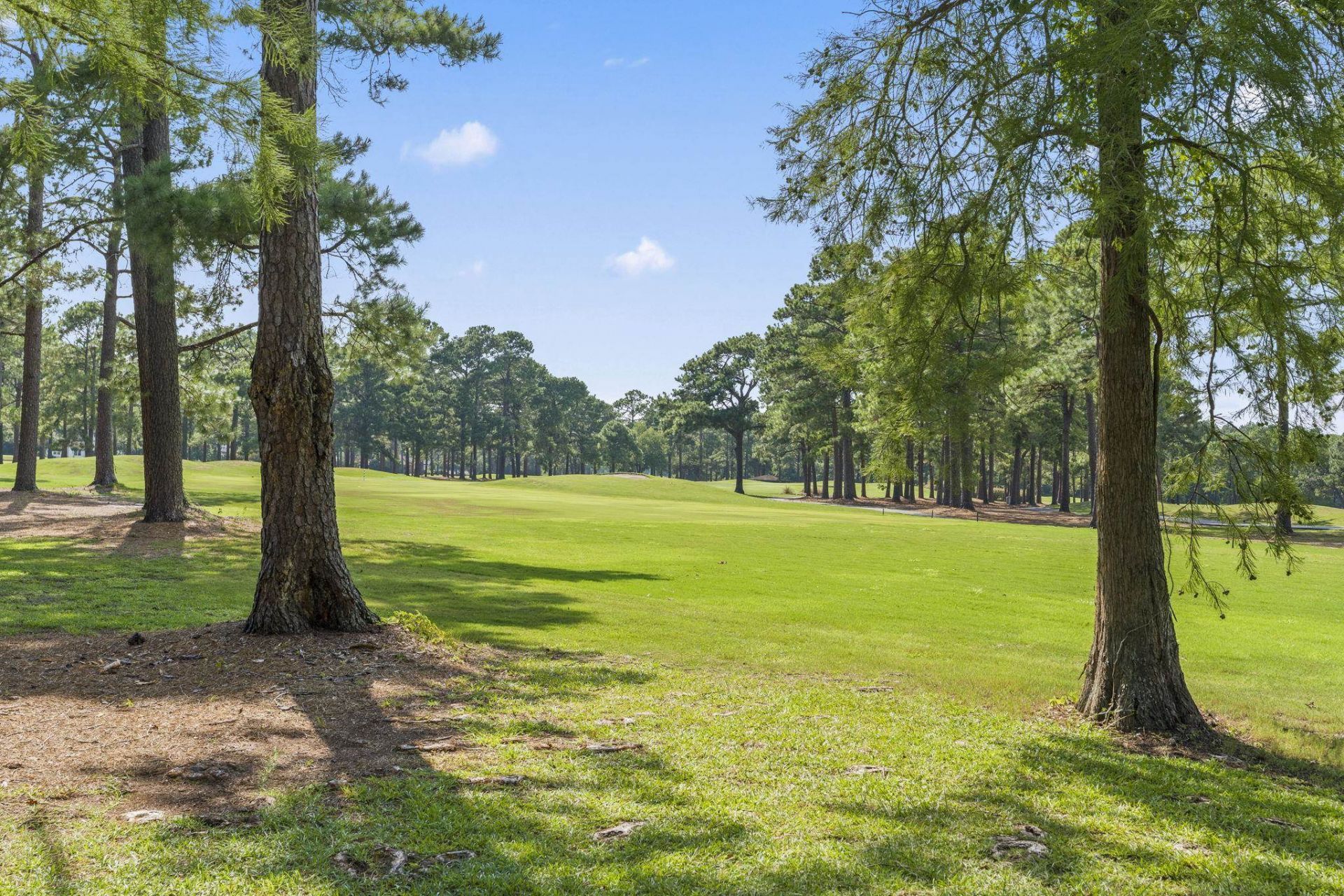 1207 Loblolly Ln. Photo 53
