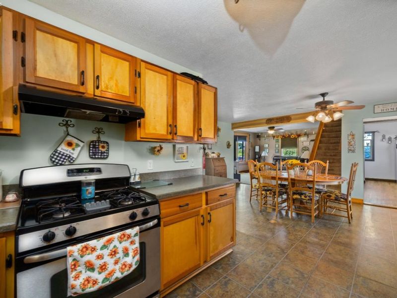 43976 Webster Rd, Wellington, OH 44090 Photo 13