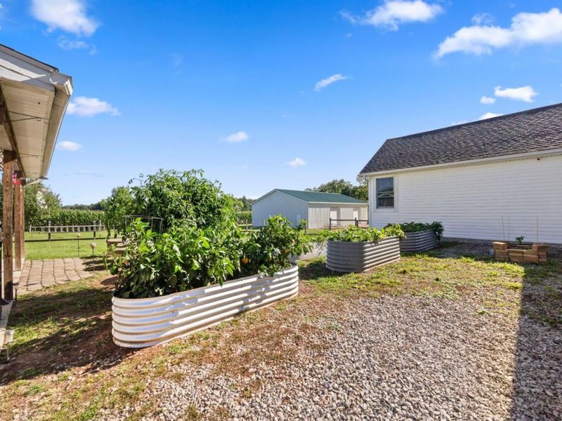 43976 Webster Rd, Wellington, OH 44090 Photo 43