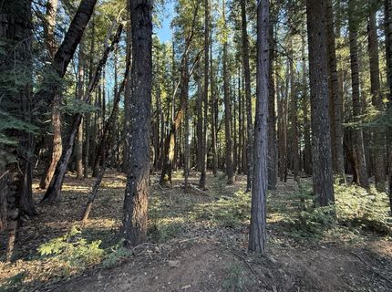 Chalk Bluff, Nevada City, CA 95959 Photo