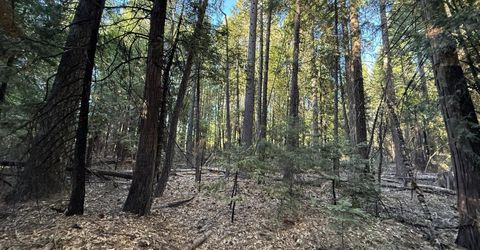 Chalk Bluff, Nevada City, CA 95959 Photo