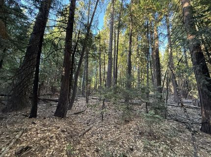 Chalk Bluff, Nevada City, CA 95959 Photo