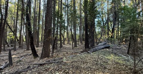 Chalk Bluff, Nevada City, CA 95959 Photo