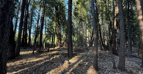 Chalk Bluff, Nevada City, CA 95959 Photo