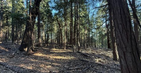 Chalk Bluff, Nevada City, CA 95959 Photo