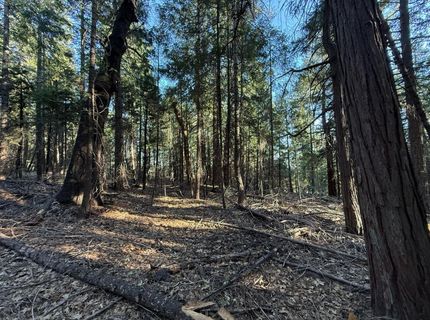 Chalk Bluff, Nevada City, CA 95959 Photo