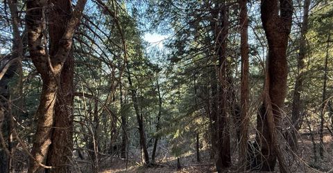 Chalk Bluff, Nevada City, CA 95959 Photo