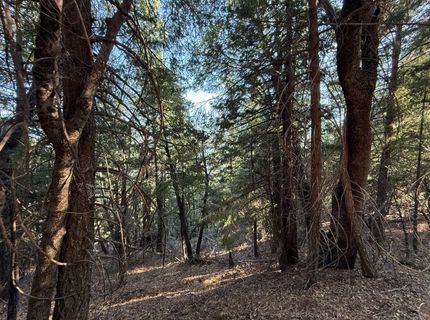 Chalk Bluff, Nevada City, CA 95959 Photo