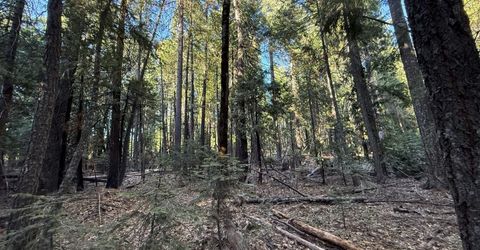 Chalk Bluff, Nevada City, CA 95959 Photo