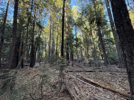 Chalk Bluff, Nevada City, CA 95959 Photo