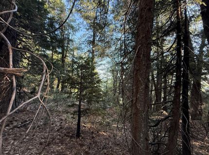 Chalk Bluff, Nevada City, CA 95959 Photo