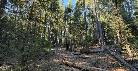Chalk Bluff, Nevada City, CA 95959 Photo