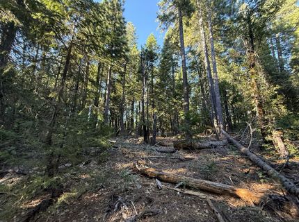 Chalk Bluff, Nevada City, CA 95959 Photo