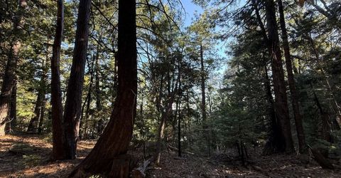 Chalk Bluff, Nevada City, CA 95959 Photo