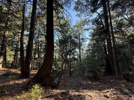 Chalk Bluff, Nevada City, CA 95959 Photo