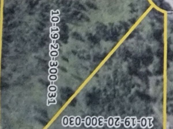 1019031 Green Acres Road, Pembroke Twp, IL 60958