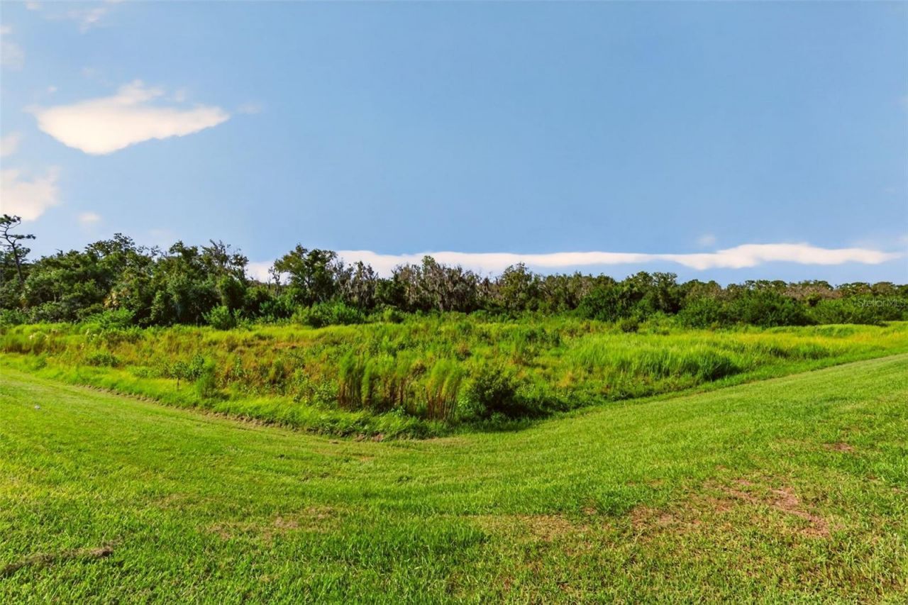 14076 Crimson Avenue, Lakewood Ranch, FL 34211 Photo