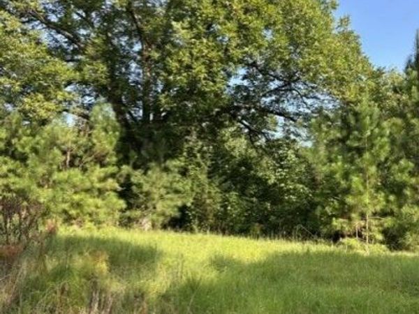 806 Pea Ridge Road, Juliette, GA 31046