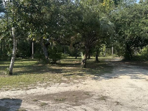 99 SW HWY 361, Steinhatchee, FL 32359