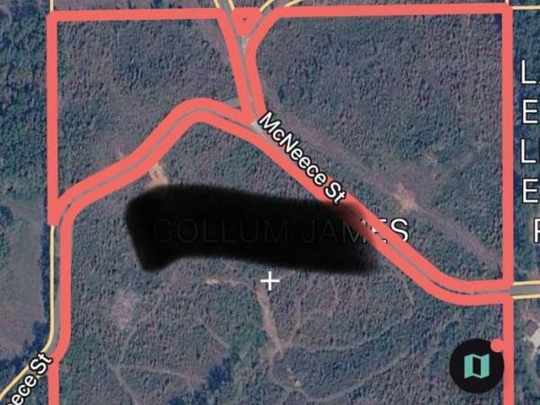 McNeece Road, Fulton, MS 38843