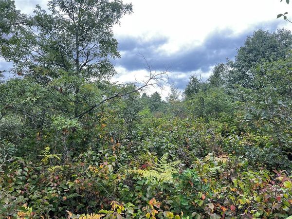 Lot 3 County Road T, Minong, WI 54838