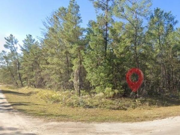 FISHER RUN TERRACE , OCKLAWAHA, FL 32179
