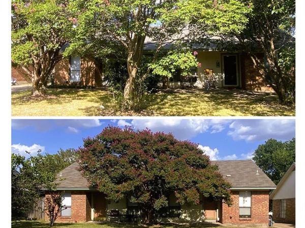 1105 Park Street, Unit A & B, Arlington, TX 76011