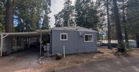 16565 Prospect Pl #115, Pioneer, CA 95666 Photo