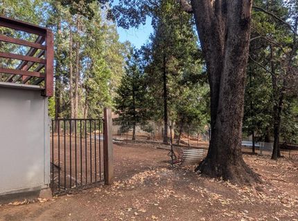 16565 Prospect Pl #115, Pioneer, CA 95666 Photo