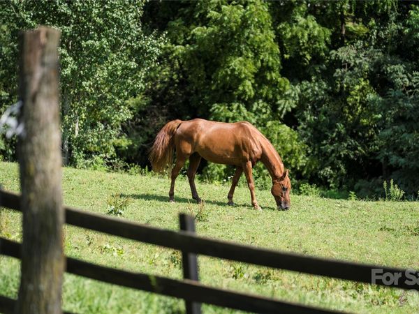 48 Silent Forest Drive, Canton, NC 28716