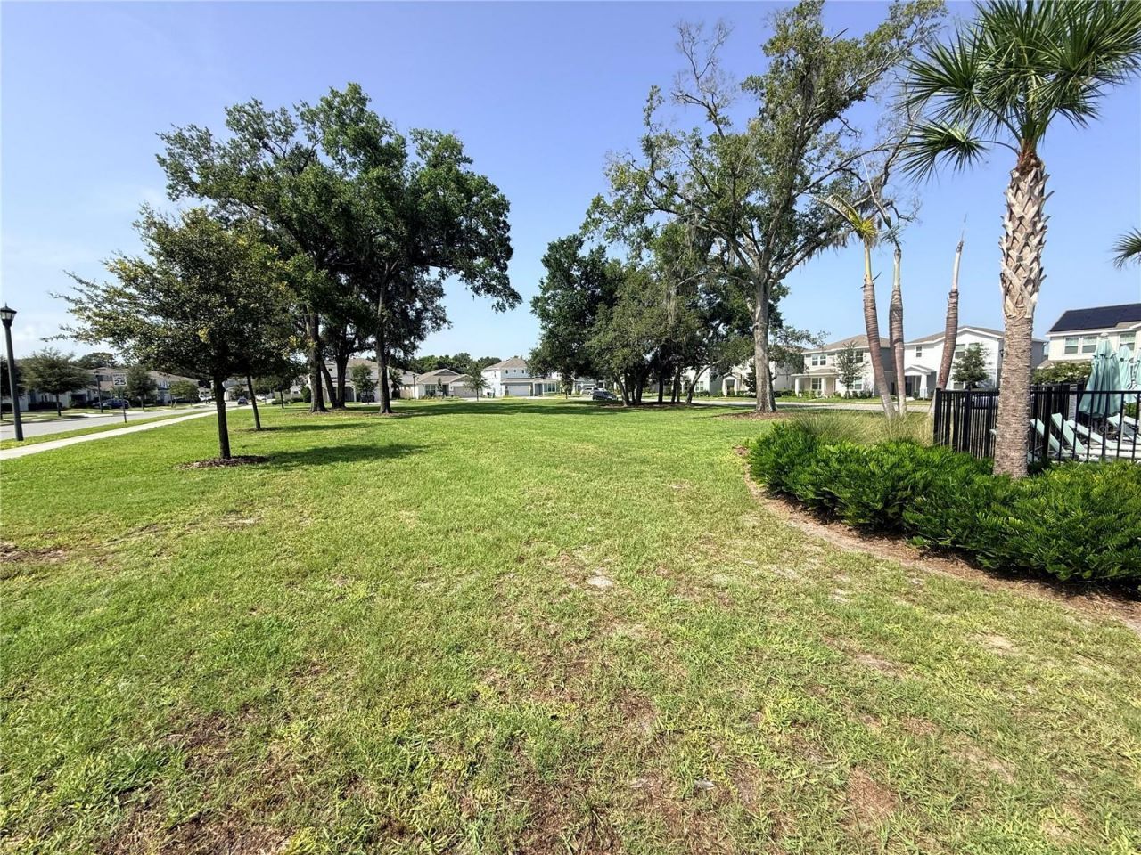 4083 Feather Tree Drive, Apopka, FL 32712 Photo