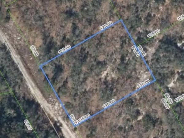 289 BLUE HORIZON DRIVE , LAKE PLACID, FL 33852
