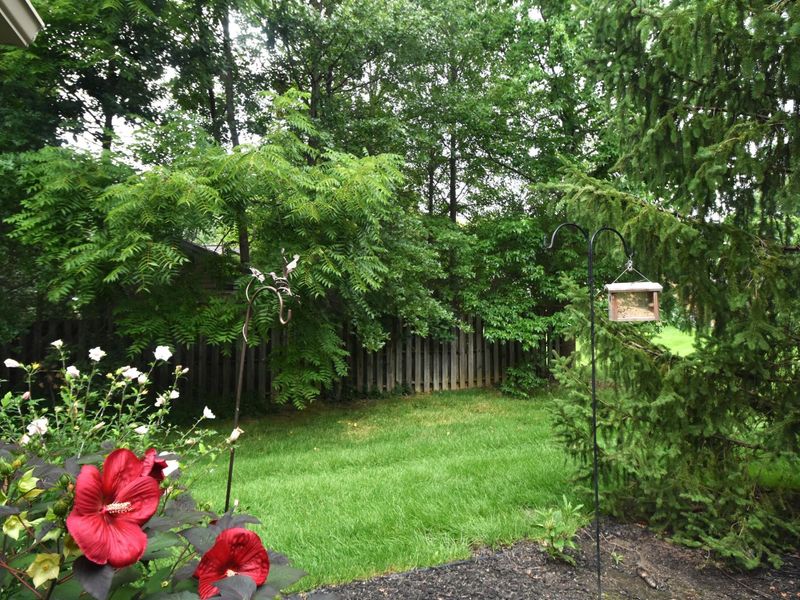 6784 Winrock Drive, Unit 2, New Albany, OH 43054 Photo 35