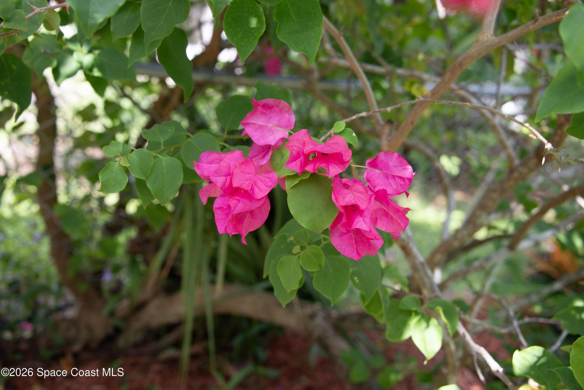 416 Plover Drive, Barefoot Bay, FL 32976 Photo