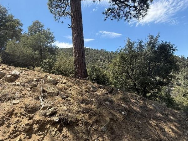 1525 Banff, Pine Mountain Club, CA 93222