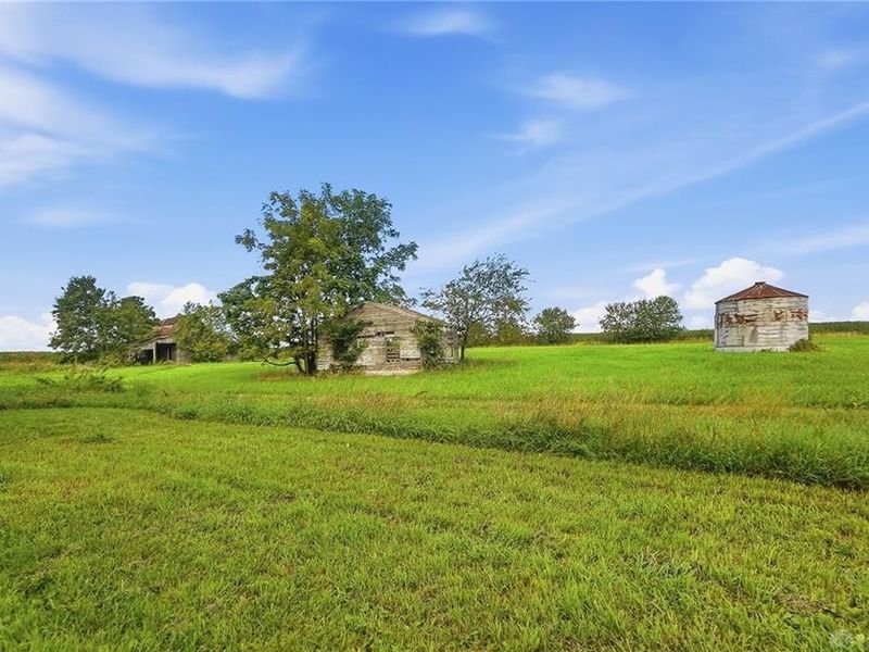 6736 Davisson Road, Mechanicsburg, OH 43044 Photo 56