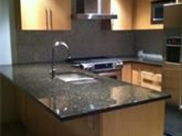 300 Bowie ST, Unit 902, Austin, TX 78703
