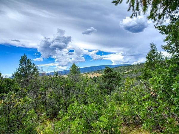 1698 & 1742 Roush Drive, Pagosa Springs, CO 81147